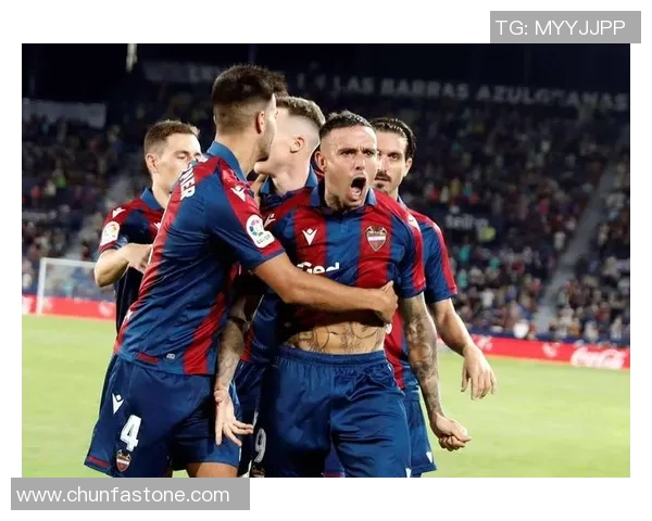 澳超精彩对决布里斯班狮吼迎战惠灵顿凤凰争夺胜利荣耀